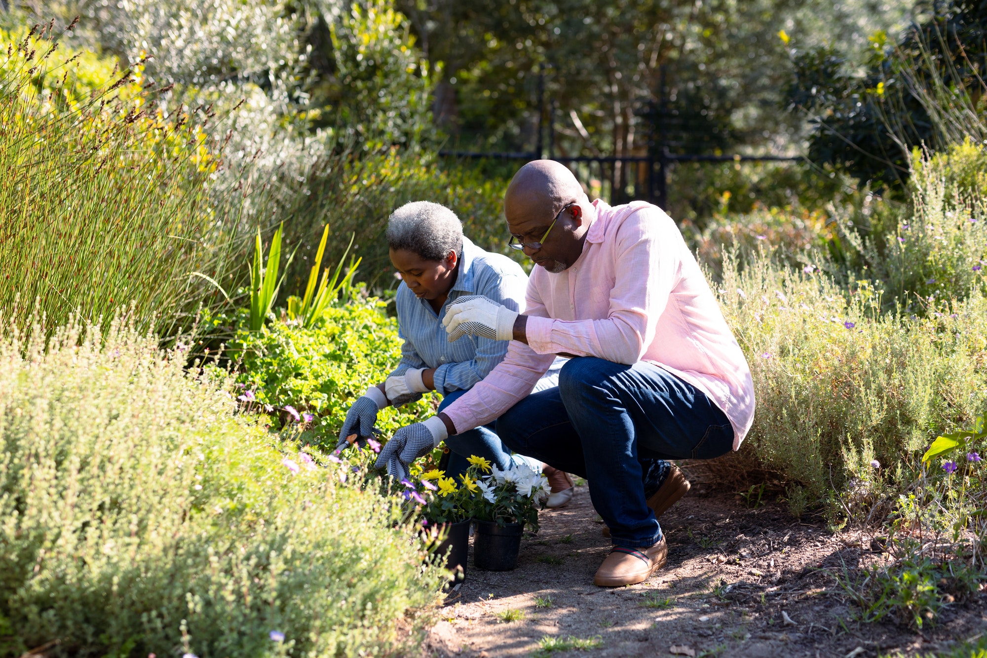 African american senior couple gardening, planting flowers outdoors