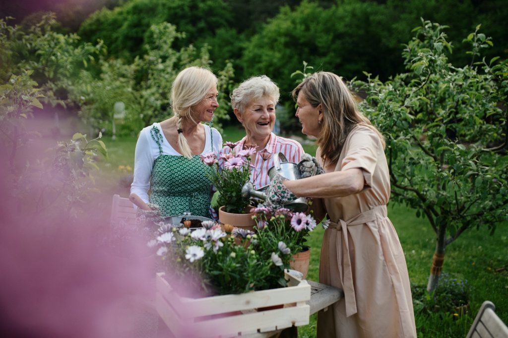 Happy senior women friends planting flowers together outdoors, laughing, community garden concept.