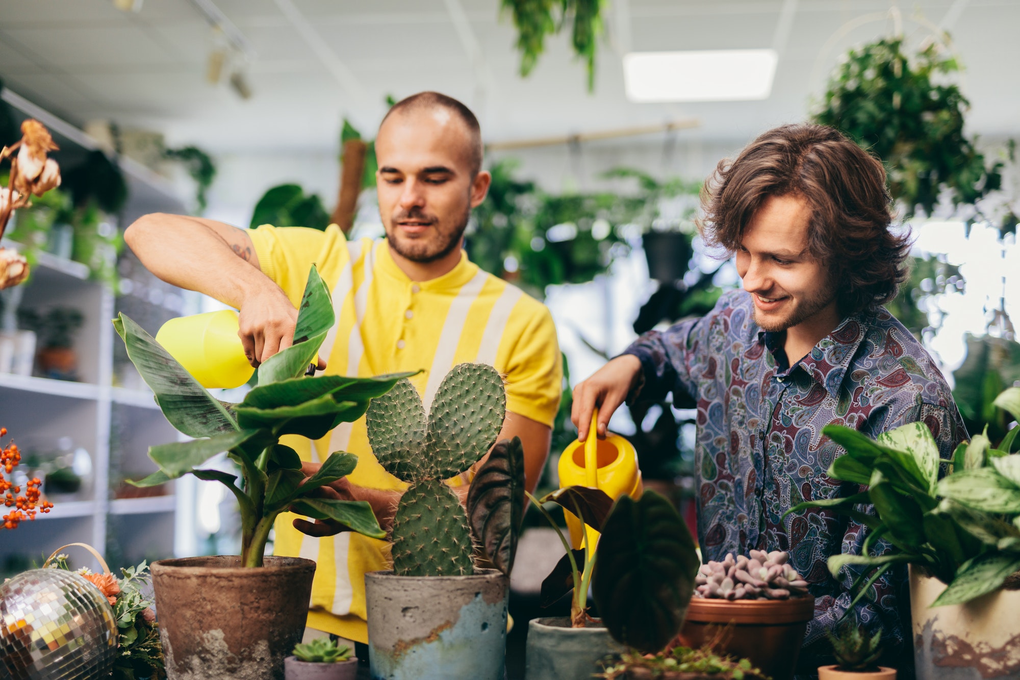 Two man watering plants in flower shop.