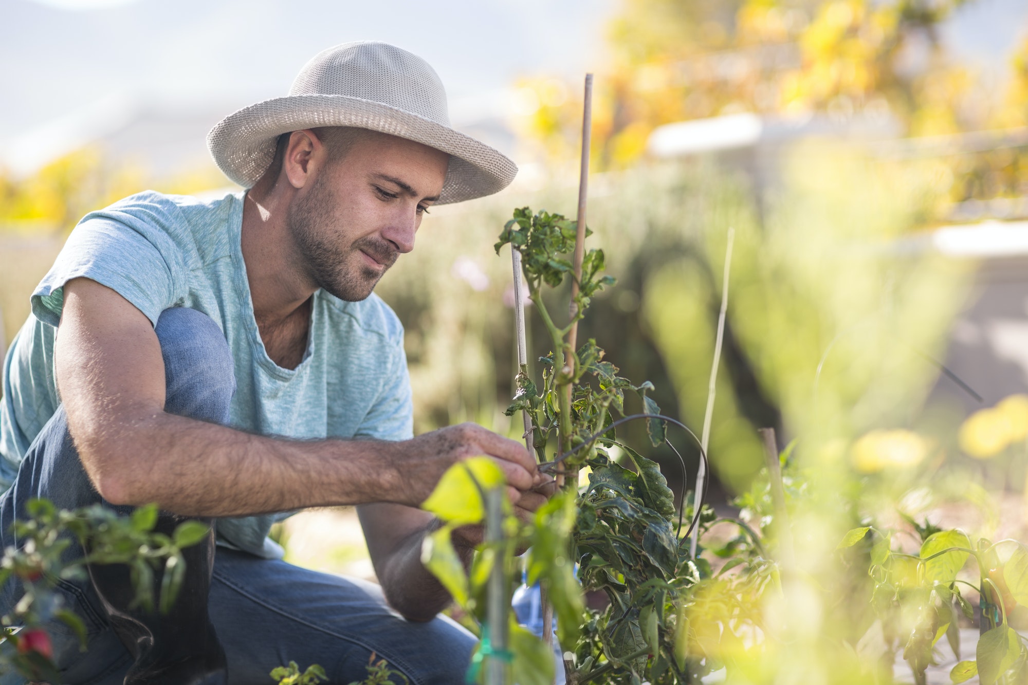 Young man in garden, tending to plants